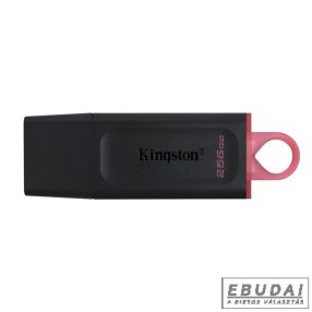   ingston 256GB USB3.2 DataTraveler Exodia (DTX/256GB) Flash Drive