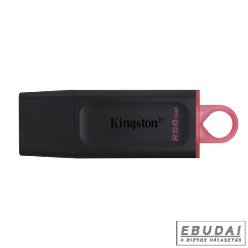 ingston 256GB USB3.2 DataTraveler Exodia (DTX/256GB) Flash Drive
